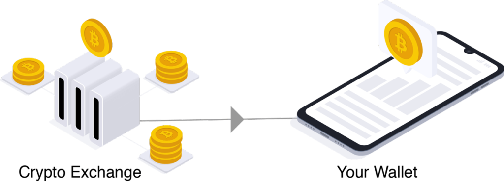 crypto exchange to wallet